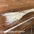 Wheat - White
