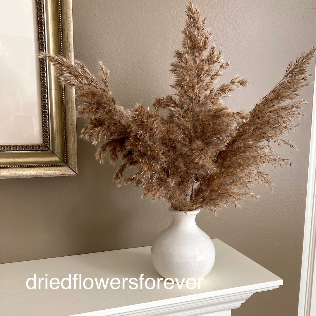 White Ceramic Bud Vases - Qty 12 - Rental